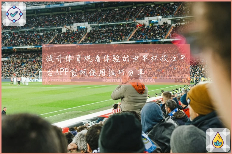 提升体育观看体验的世界杯投注平台APP官网使用技巧分享