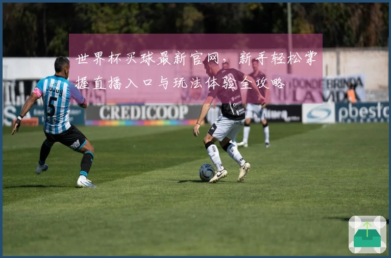 世界杯买球最新官网，新手轻松掌握直播入口与玩法体验全攻略