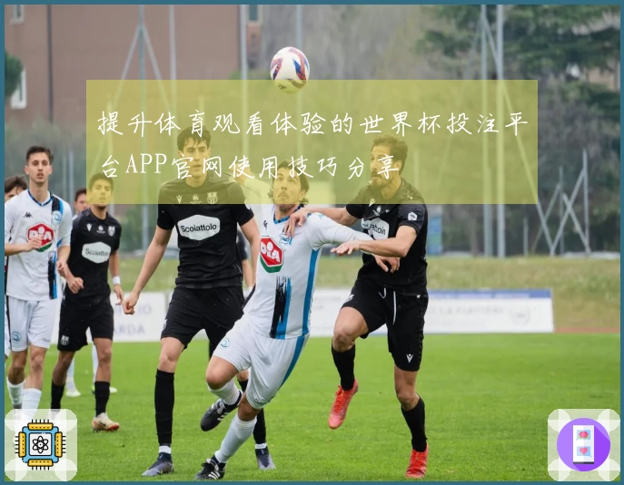 提升体育观看体验的世界杯投注平台APP官网使用技巧分享