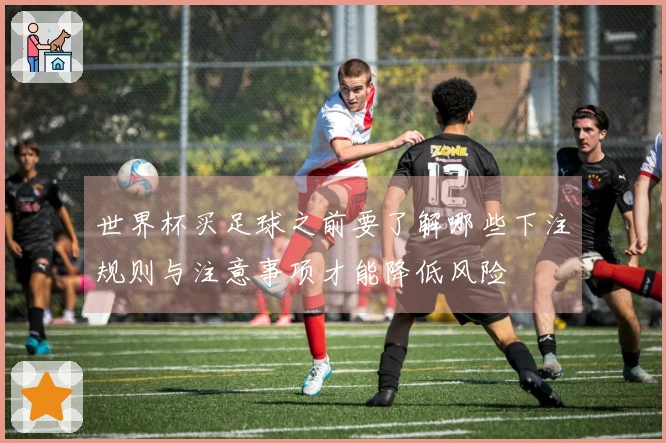 世界杯买足球之前要了解哪些下注规则与注意事项才能降低风险