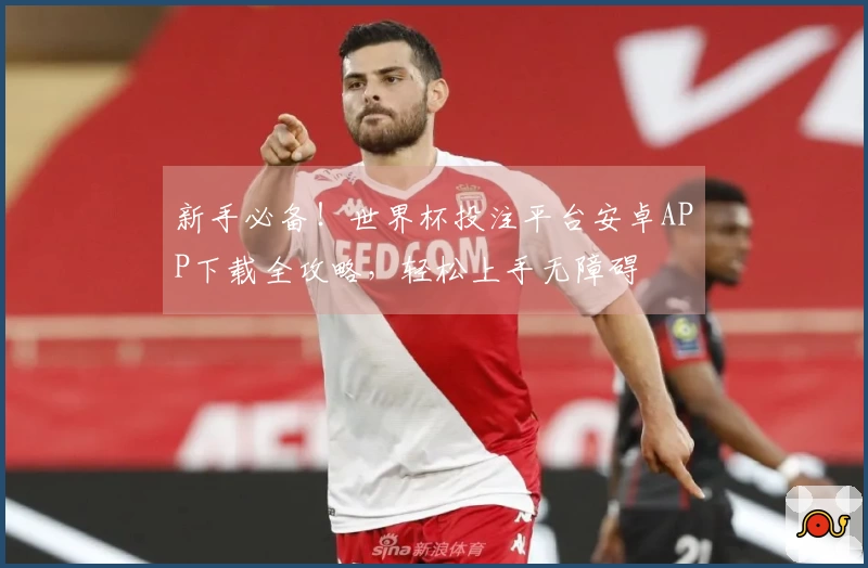 新手必备！世界杯投注平台安卓APP下载全攻略，轻松上手无障碍