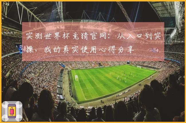 实测世界杯竞猜官网：从入口到实操，我的真实使用心得分享