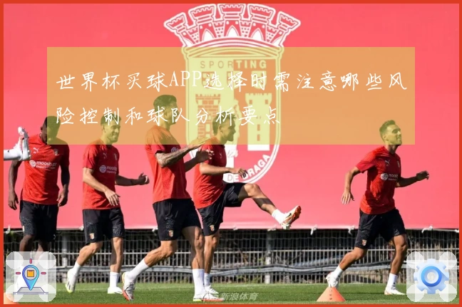 世界杯买球APP选择时需注意哪些风险控制和球队分析要点