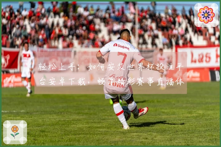 轻松上手：如何安装世界杯投注平台安卓下载，畅享精彩赛事直播体验