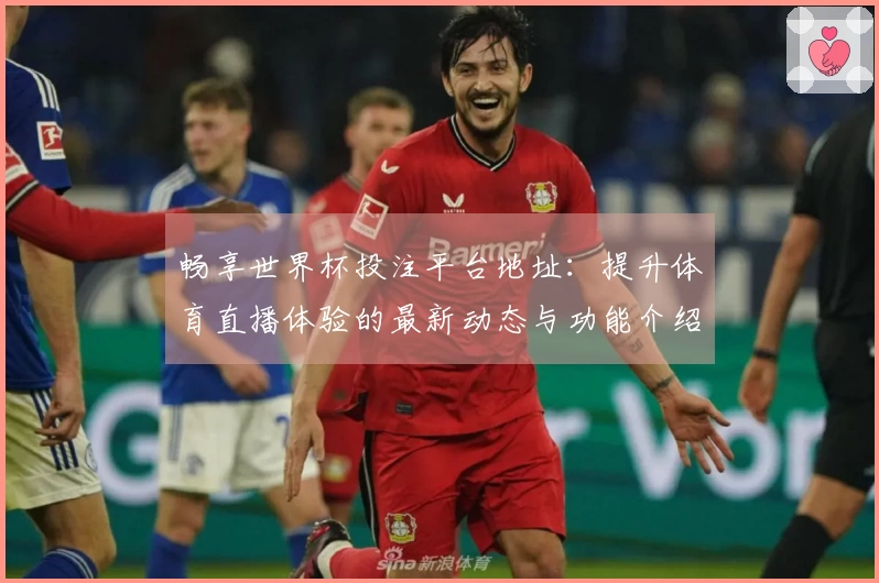 畅享世界杯投注平台地址：提升体育直播体验的最新动态与功能介绍