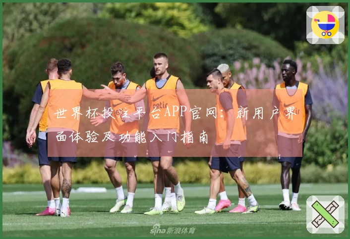 世界杯投注平台APP官网：新用户界面体验及功能入门指南
