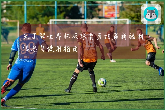 来了解世界杯买球首页的最新福利信息与使用指南