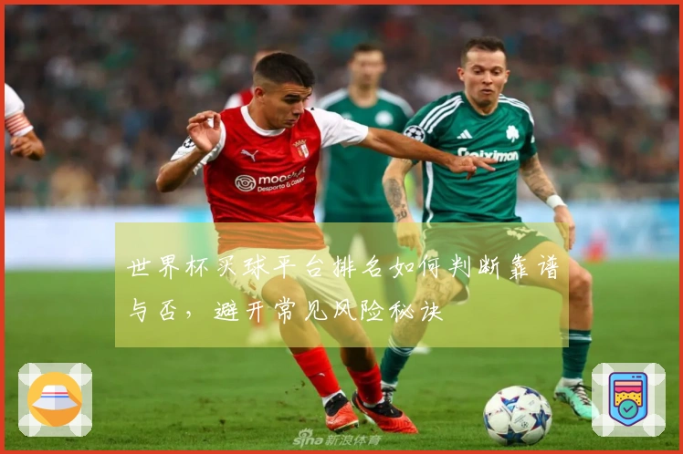 世界杯买球平台排名如何判断靠谱与否,避开常见风险秘诀