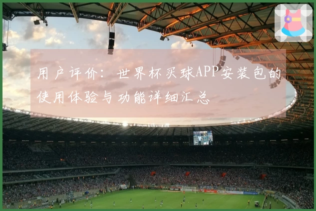 用户评价：世界杯买球APP安装包的使用体验与功能详细汇总