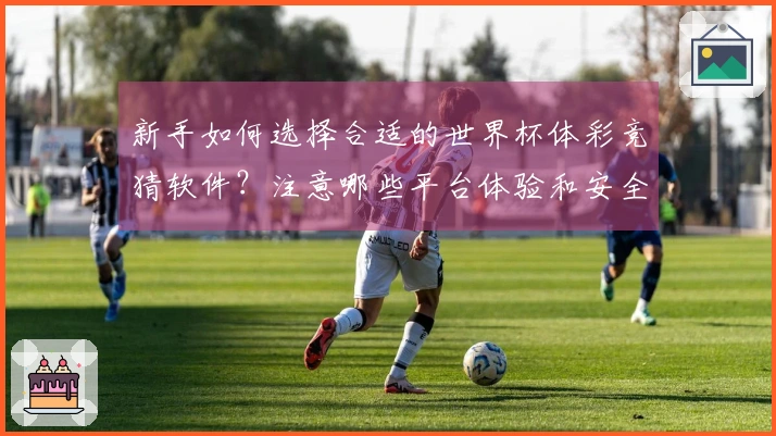 新手如何选择合适的世界杯体彩竞猜软件？注意哪些平台体验和安全性问题