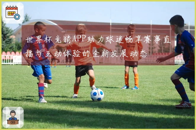 世界杯竞猜APP助力球迷畅享赛事直播与互动体验的全新发展动态