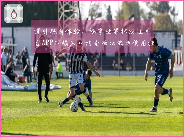 提升观看体验，畅享世界杯投注平台APP下载入口的全面功能与使用指南